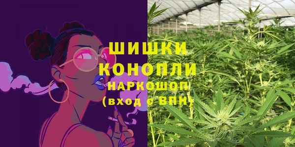 прущие грибы Липки