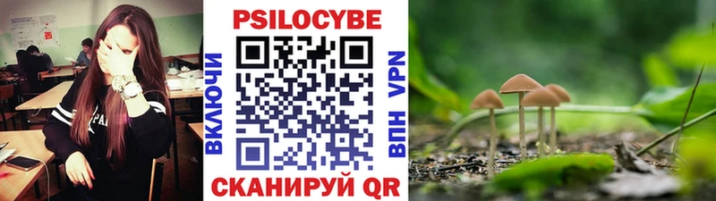Псилоцибиновые грибы мицелий  площадка официальный сайт  Лакинск  наркошоп 